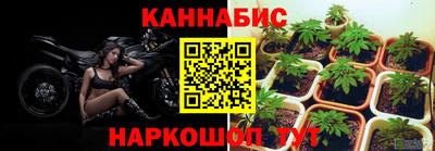 СК Партизанск