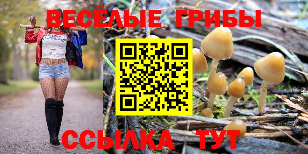 Тамбов  Галлюциногенные грибы Psilocybe  Псилоцибиновые грибы Cubensis  Вход с VPN 