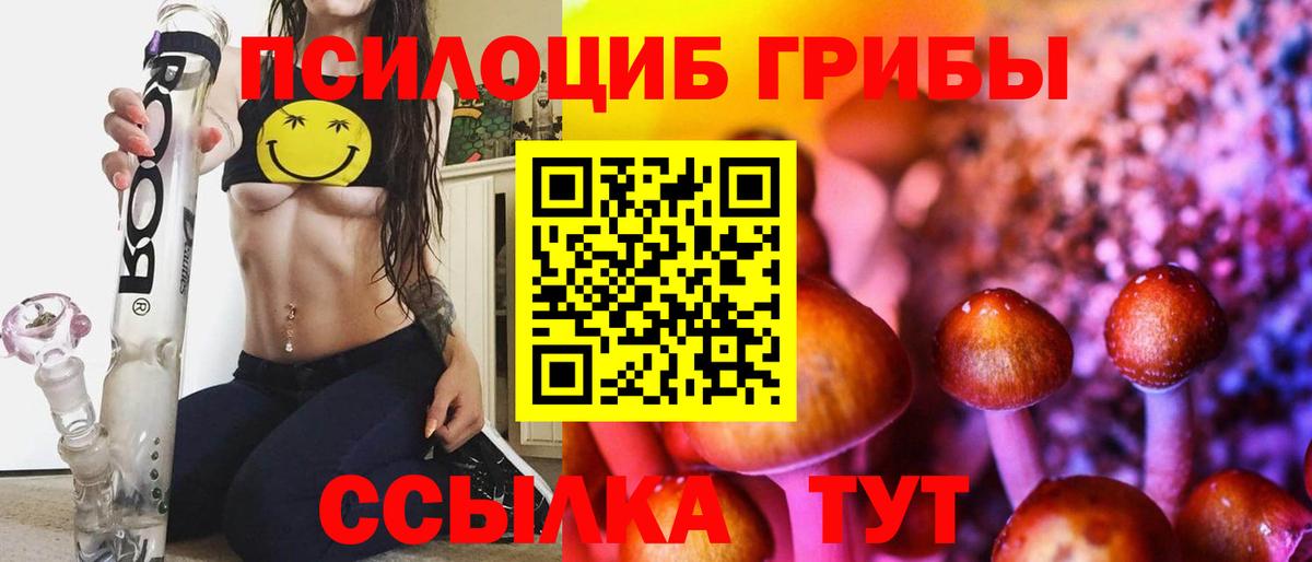 Псилоцибиновые грибы ЛСД Тамбов